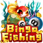 rr8i bắn cá Câu Cá Bingo